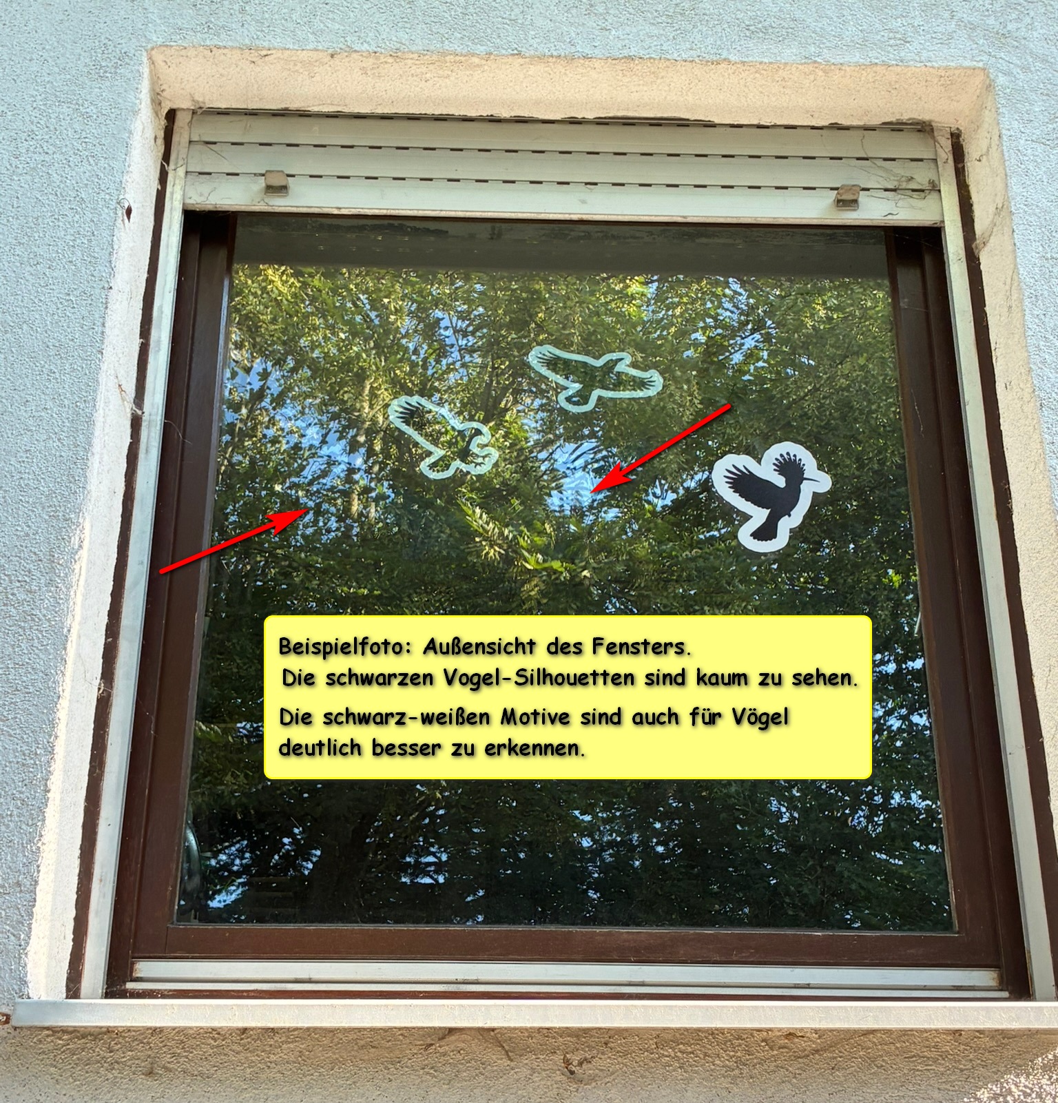 Das selbe Fenster von außen: Die schwarzen Vögel sind kaum erkennbar