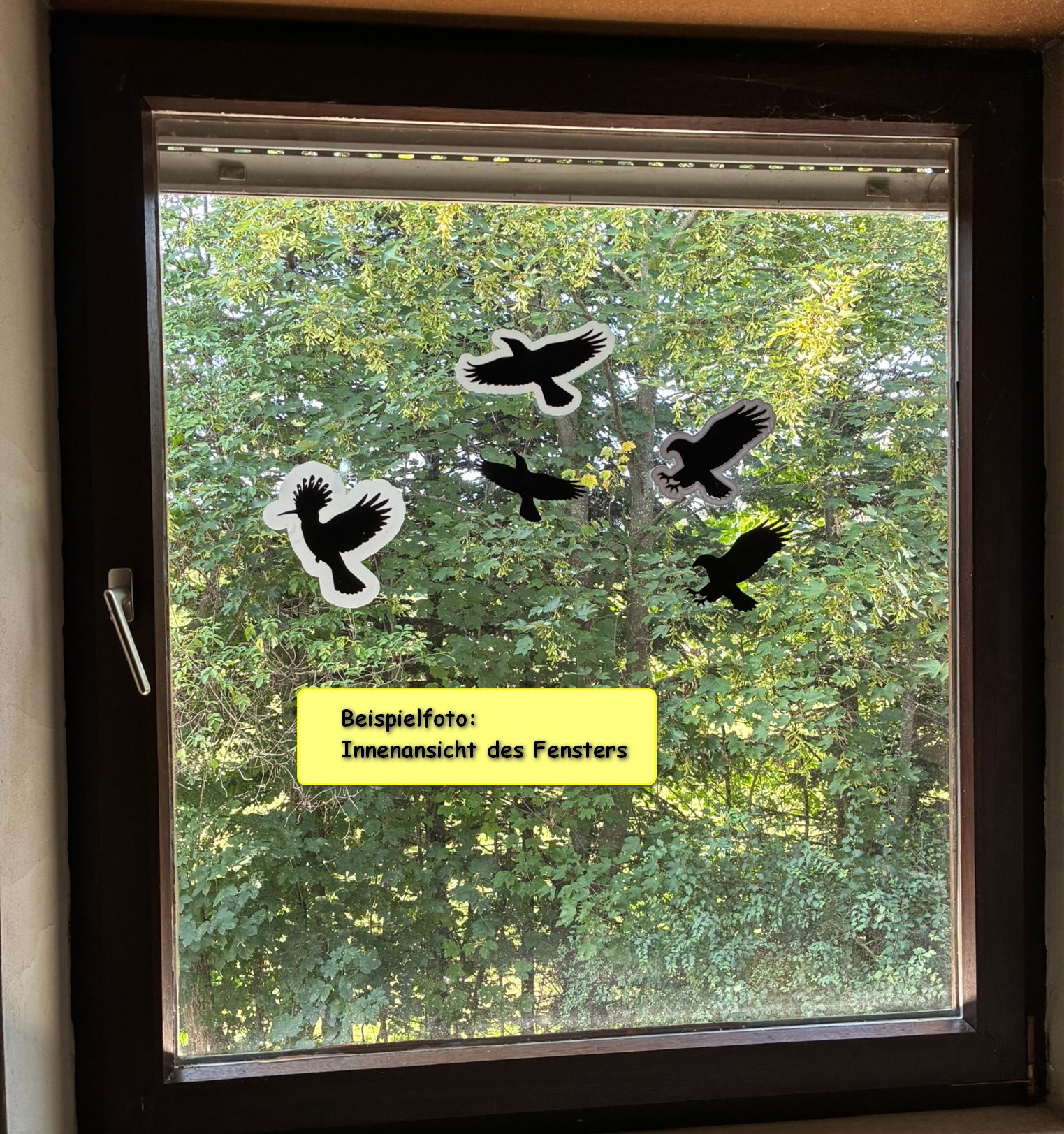 Vogelmotive auf der Innenseite eines Fensters vor hellem, unruhigem Hintergrund